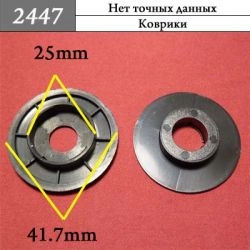 2447 2447