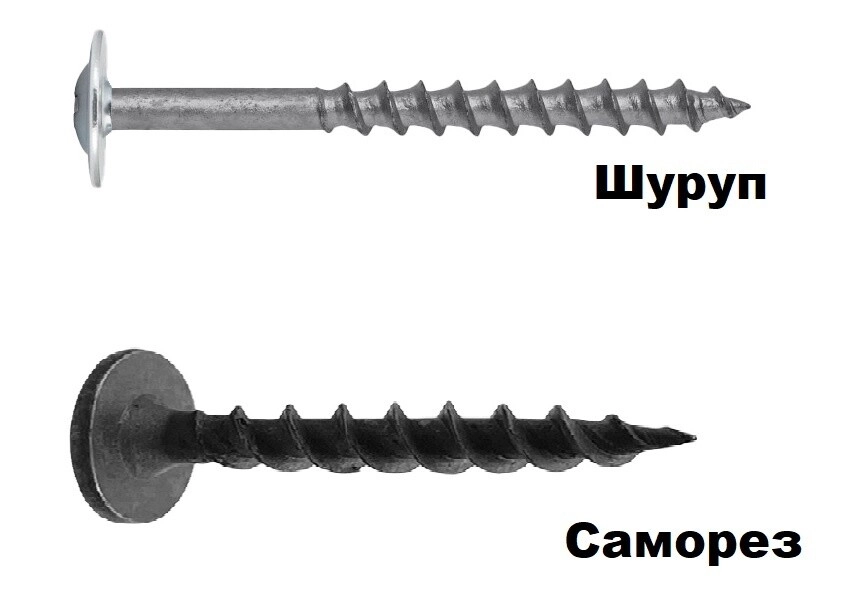scale_2400.jpg scale_2400.jpg