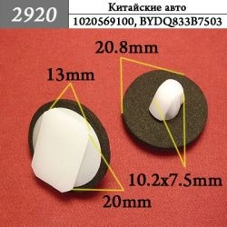 2920 Автокрепеж для BYD